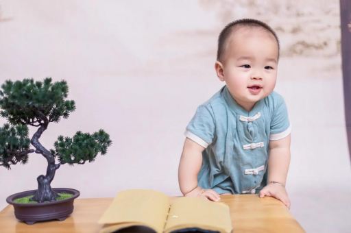 固始可爱的企鹅宝宝